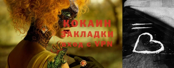 бошки Няндома