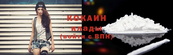 бошки Няндома