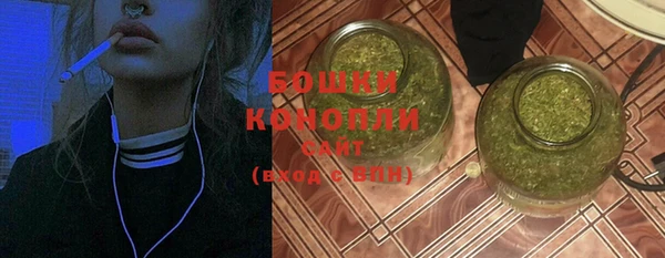 бошки Няндома