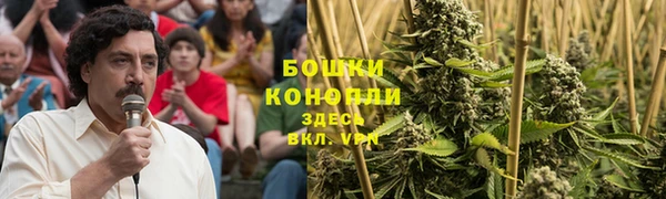 бошки Няндома