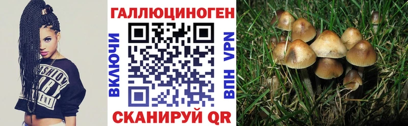гидра ONION  Нефтекамск  Галлюциногенные грибы прущие грибы  купить  цена 